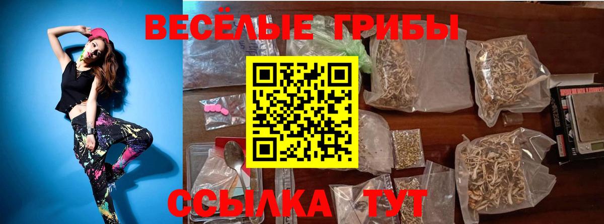 Лосино-Петровский  Галлюциногенные грибы Psilocybine cubensis  Вход с VPN 